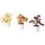 FEJKA artificial potted plant with pot, set of 3, in/outdoor leaves, 6 cm