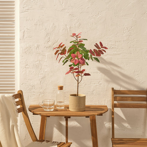 Decoration
