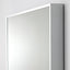 HOVET Mirror, Aluminium, 78x196 cm
